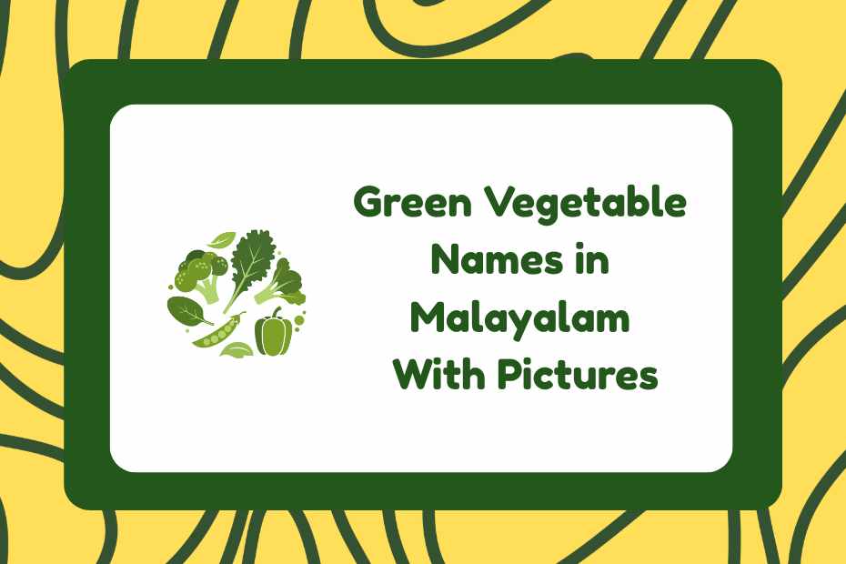 Green Vegetable Names in Malayalam