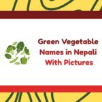 Green Vegetable Names in Nepali