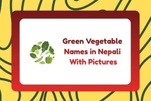 Green Vegetable Names in Nepali