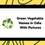 Green Vegetable Names in Odia