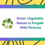 Green Vegetable Names in Punjabi