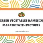 Green Vegetables Names in Marathi With Pictures