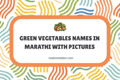 Green Vegetables Names in Marathi With Pictures