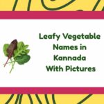 Leafy Vegetable Names in Kannada