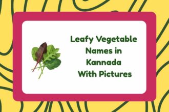 Leafy Vegetable Names in Kannada