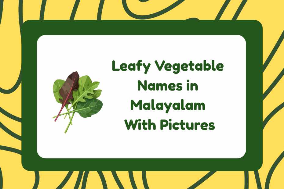 Leafy Vegetable Names in Malayalam