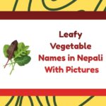 Leafy Vegetable Names in Nepali