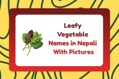 Leafy Vegetable Names in Nepali