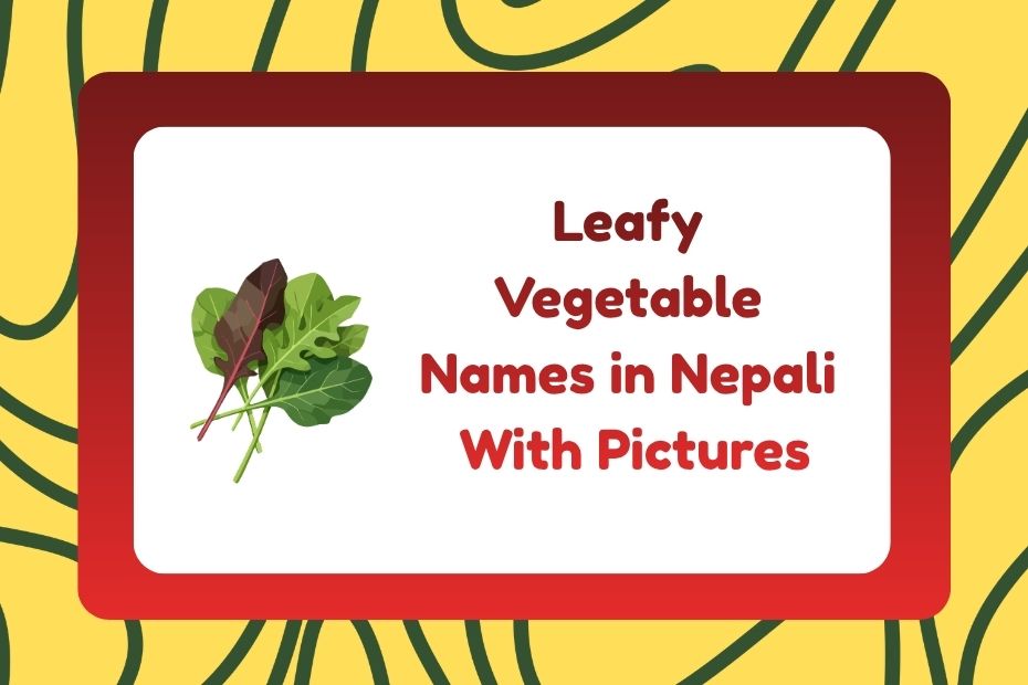 Leafy Vegetable Names in Nepali