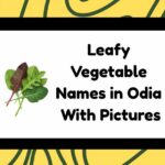 Leafy Vegetable Names in Odia
