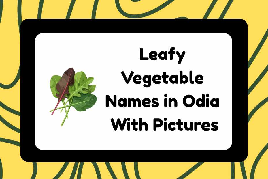 Leafy Vegetable Names in Odia