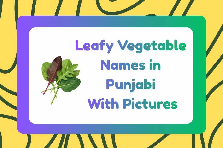 Leafy Vegetable Names in Punjabi
