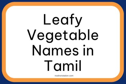 Leafy Vegetable Names in Tamil
