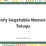 Leafy Vegetable Names in Telugu