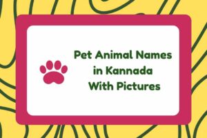 Pet Animal Names in Kannada