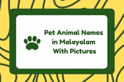 Pet Animal Names in Malayalam
