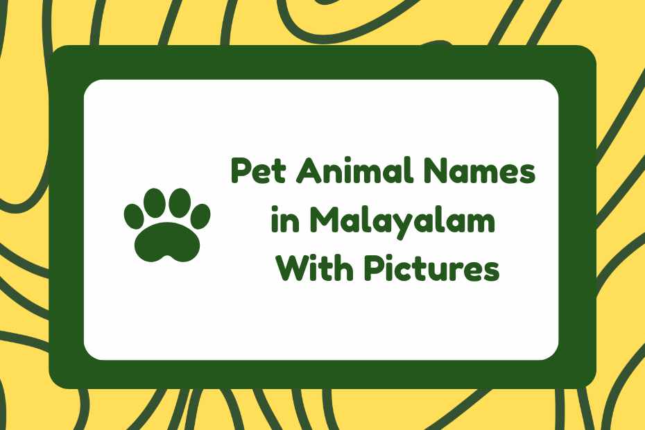 Pet Animal Names in Malayalam