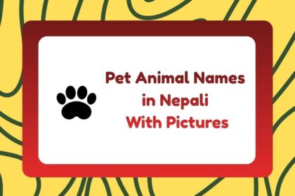 Pets in Nepali With Pictures