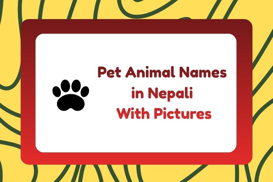 Pet Animal Names in Nepali