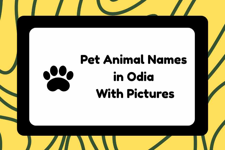 Pet Animal Names in Odia