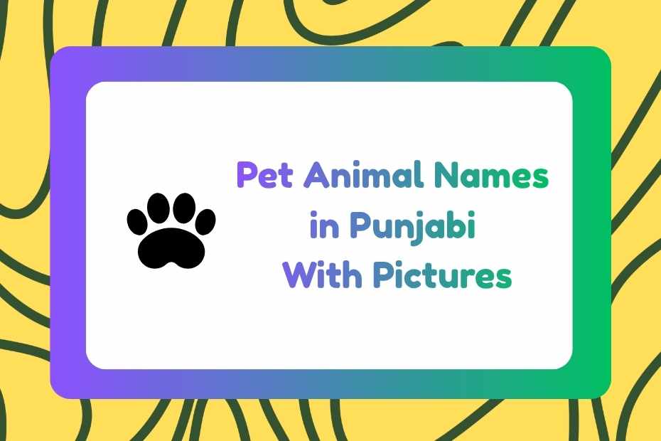 Pet Animal Names in Punjabi
