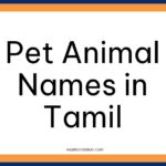 Pet Animal Names in Tamil