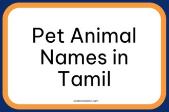 Pet Animal Names in Tamil