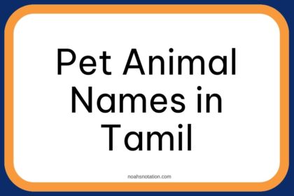 Pet Animal Names in Tamil