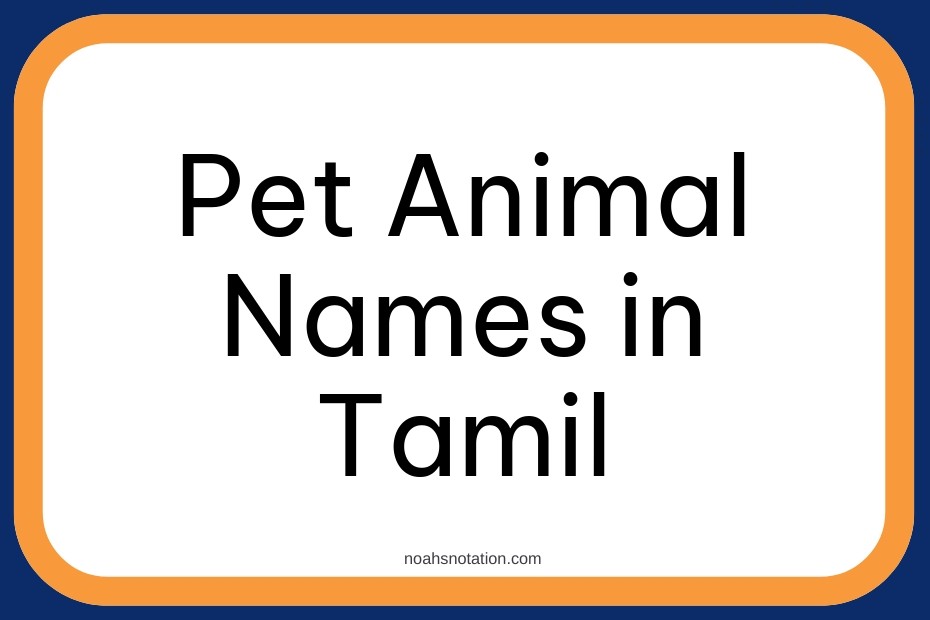 Pet Animal Names in Tamil