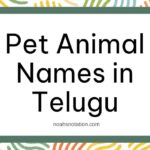 Pet Animal Names in Telugu