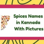 Spices Names in Kannada