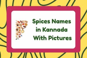 Spices Names in Kannada