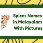 Spices Names in Malayalam