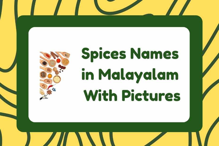 Spices Names in Malayalam