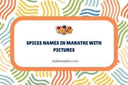 Spices Names in Marathi With Pictures