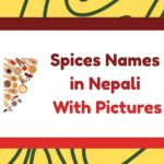 Spices Names in Nepali