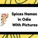 Spices Names in Odia
