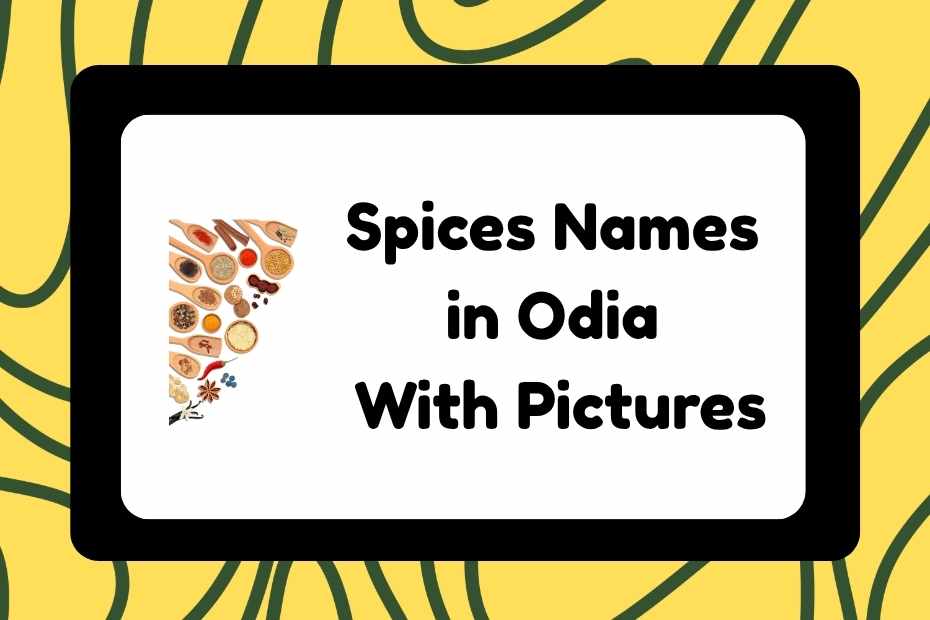 Spices Names in Odia