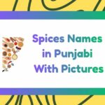Spices Names in Punjabi
