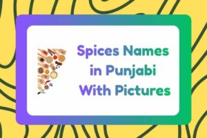 Spices Names in Punjabi