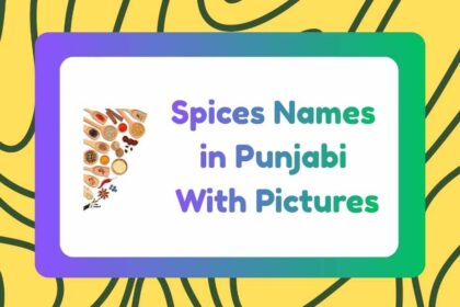 Spices Names in Punjabi