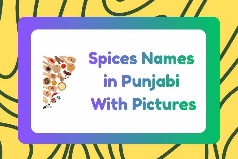 Spices Names in Punjabi
