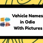 Vehicle Names in Odia