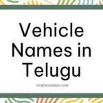 Vehicle Names in Telugu