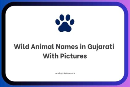 Wild Animal Names in Gujarati