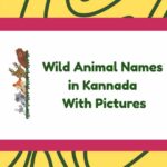 Wild Animal Names in Kannada