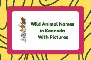 Wild Animal Names in Kannada
