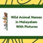 Wild Animal Names in Malayalam