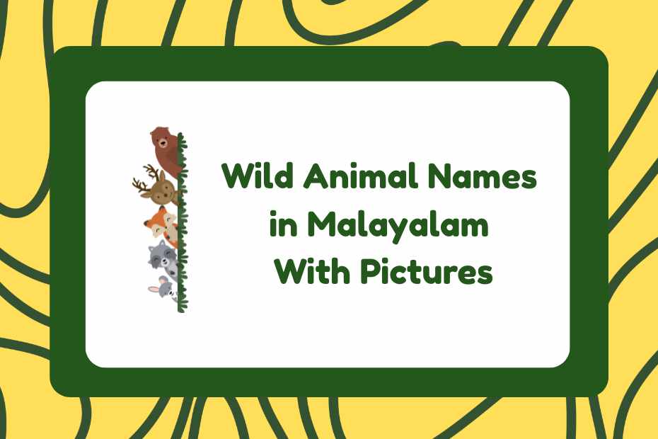 Wild Animal Names in Malayalam