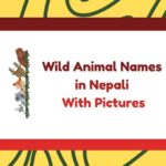 Wild Animal Names in Nepali